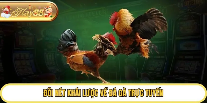 Đôi nét khái lược về đá gà trực tuyến