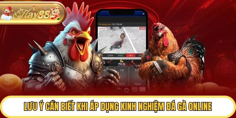 Lưu ý cần biết khi áp dụng kinh nghiệm đá gà online