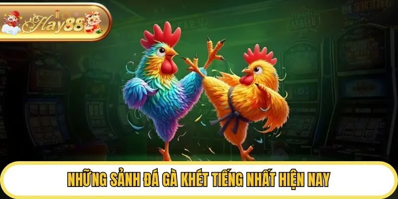 Những sảnh đá gà khét tiếng nhất hiện nay